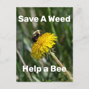 Save A Weed, Help A Bee Postcard