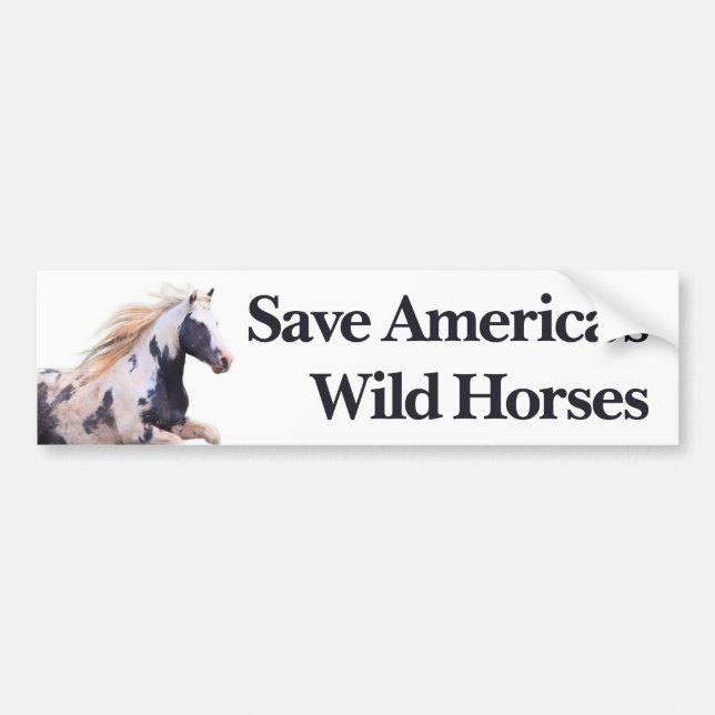 Save America's Wild Horses Bumper Sticker (Front)