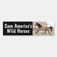 Save America's Wild Horses Bumper Sticker