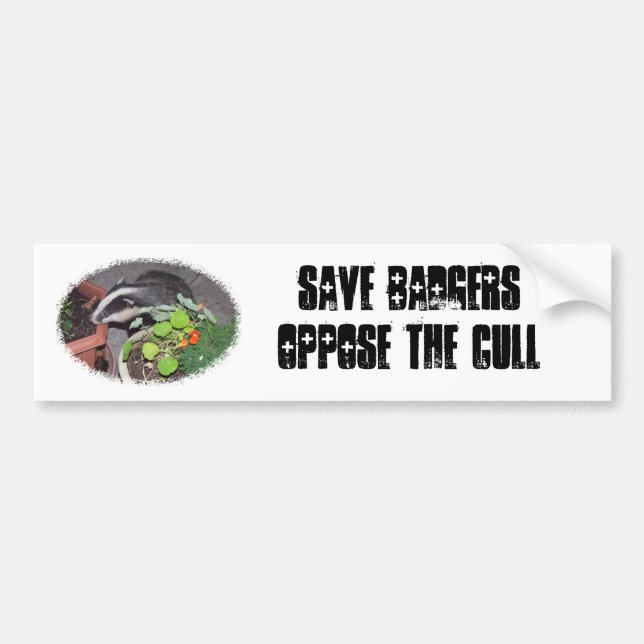 Save BADGERS, oppose the Cull, bumper car stickers (Front)