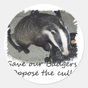 Save British Badgers, oppose the badger cull Classic Round Sticker