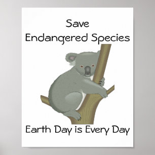 Save Endangered Species Koala Poster