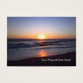 Save McGrath State Beach Business Card