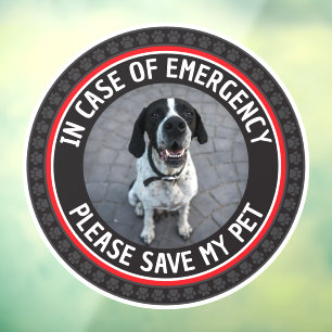 SAVE MY PET Safety Alert Custom Photo Modern 