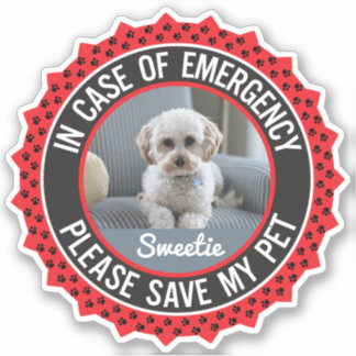 Save My Pet Safety Alert Name Photo Custom Colour