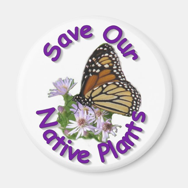 Save Native Asters Monarch Magnet (Front)
