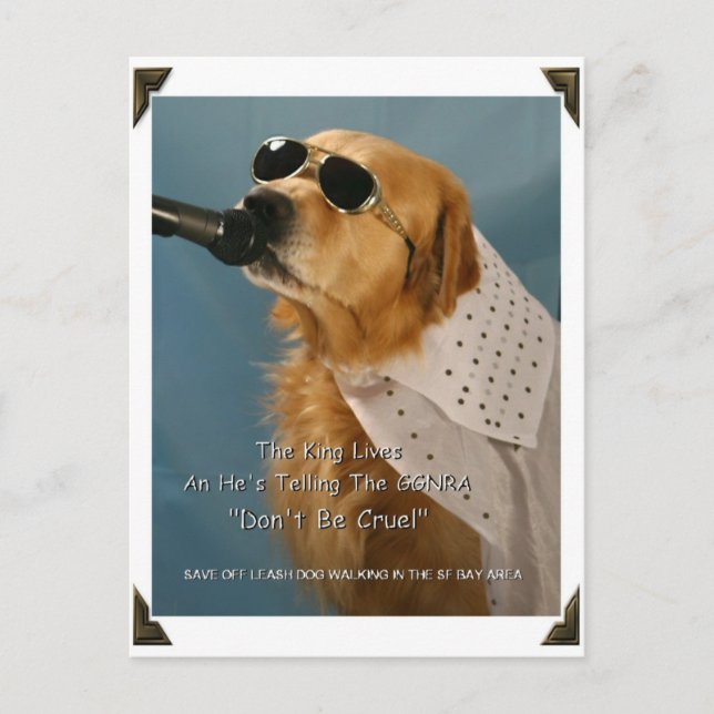 Save Off-Leash Dog Walking Congresswoman Pelosi Postcard (Front)