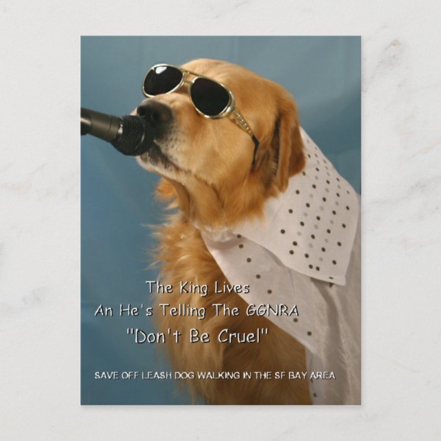 Save Off-Leash Dog Walking Senator Feinstein Postcard (Front)