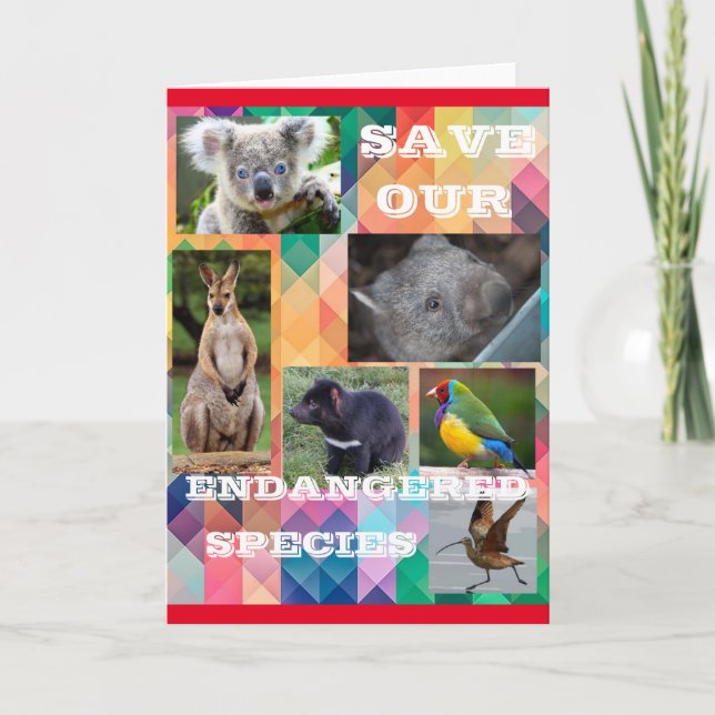 Save Our Endangered Species Card (Front)