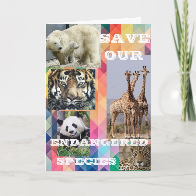 Save Our Endangered Species Folded Thank You Card (Front)