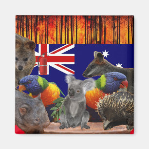 Save Our Homes - Extinguish Magnet