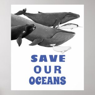 Save Our Oceans Environmental Art Whale Poster