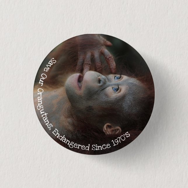 Save Our Orangutans 3 Cm Round Badge (Front)