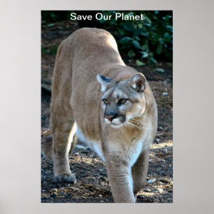 "Save Our Planet" Cougar Photo Poster