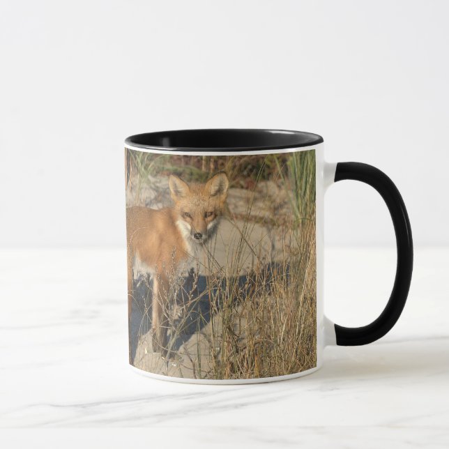 "Save Our Planet" fox mug (Right)