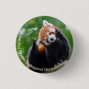 Save Our Red Pandas 3 Cm Round Badge