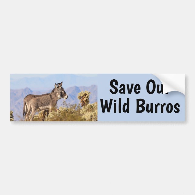 Save Our Wild Burros  Bumper Sticker (Front)