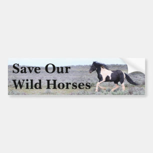 Save Our Wild Horses Bumper Sticker