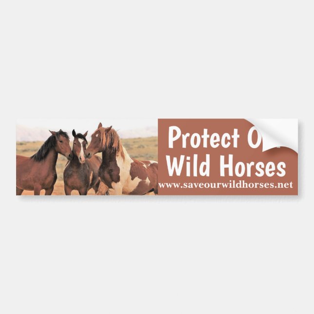 Save Our Wild Horses  Bumper Sticker (Front)