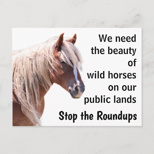 Save Our Wild Horses Postcard (Front)