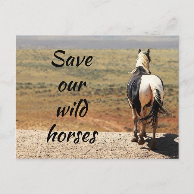 Save Our Wild Horses Postcard (Front)