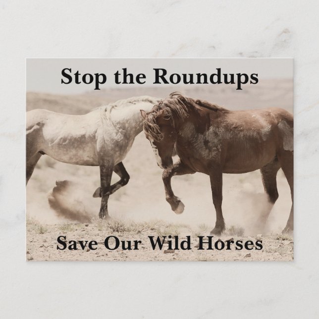 Save Our Wild Horses Postcard (Front)