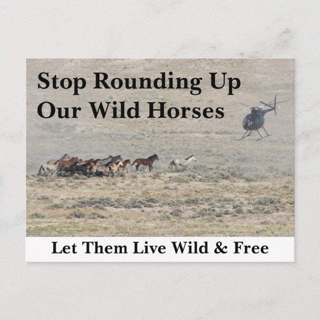 Save Our Wild Horses Postcard (Front)
