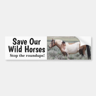 Save Our Wild Horses Traveller  Bumper Sticker