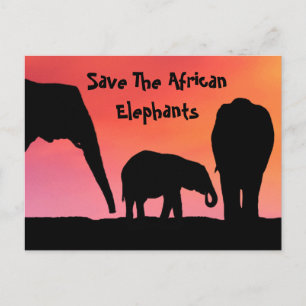 Save The African Elephants Postcard