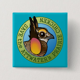 Save the Attwater's Prairie Chicken 15 Cm Square Badge