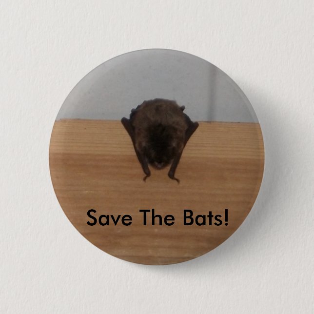 Save The Bats! wildlife Button (Front)