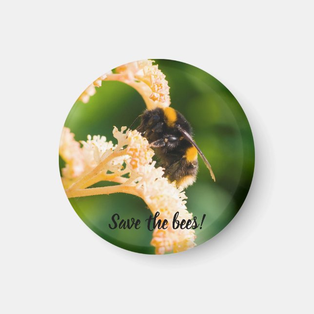 "Save the Bees" Bee on a flower Magnet (Front)