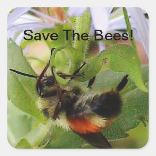 Save The Bees Macro Photo Sticker