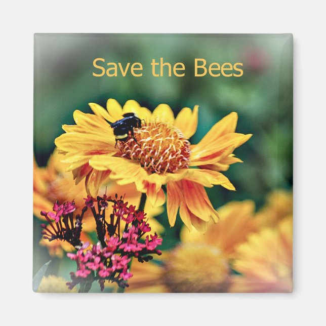 sAVE THE BEES MAGNET (Front)