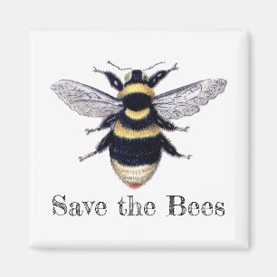 Save the Bees Magnet