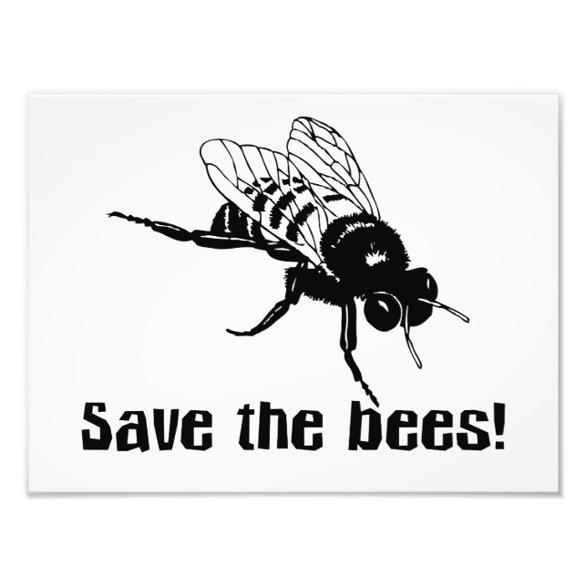 Save the Bees Photo Print (Front)