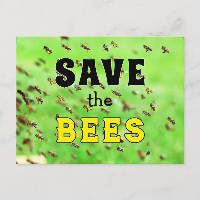 Save the Bees  Postcard (Front)
