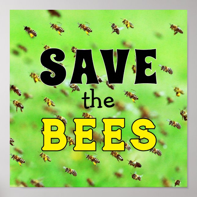 Save the Bees  Poster (Front)