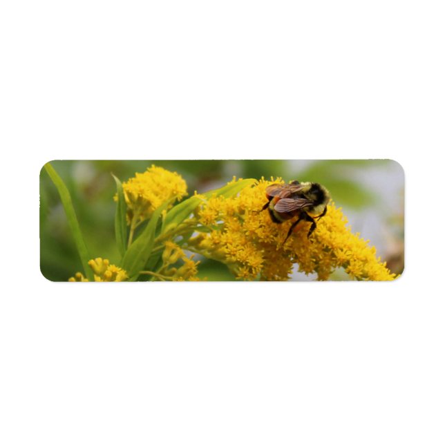 Save the Bees Return Address Label (Front)