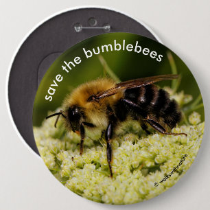 Save the Bumblebees Pollinating Flowering Carrot 6 Cm Round Badge