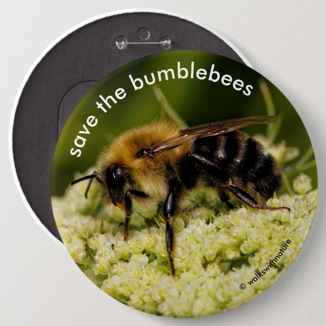 Save the Bumblebees Pollinating Flowering Carrot 6 Cm Round Badge (Front & Back)