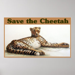 Save the Cheetah Poster