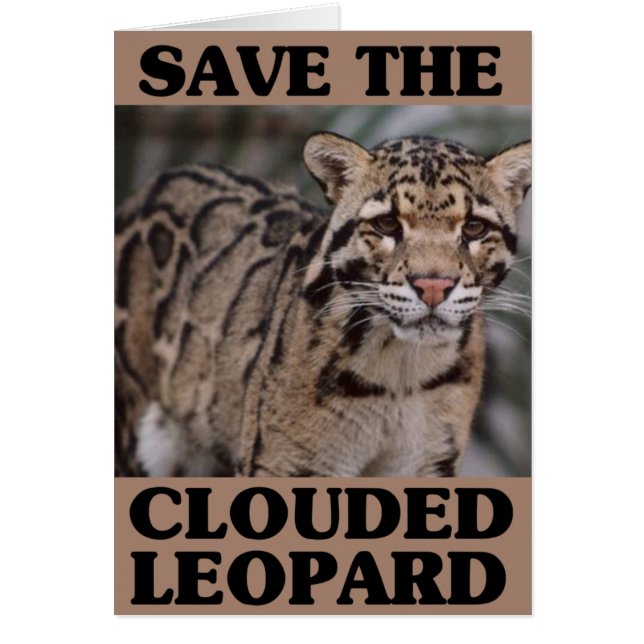 Save the Clouded Leopard (Front)