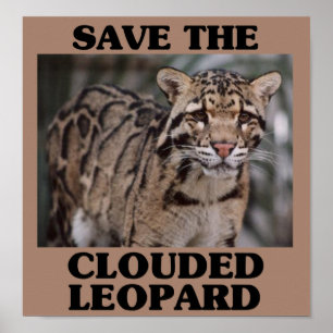 Save the Clouded Leopard Poster