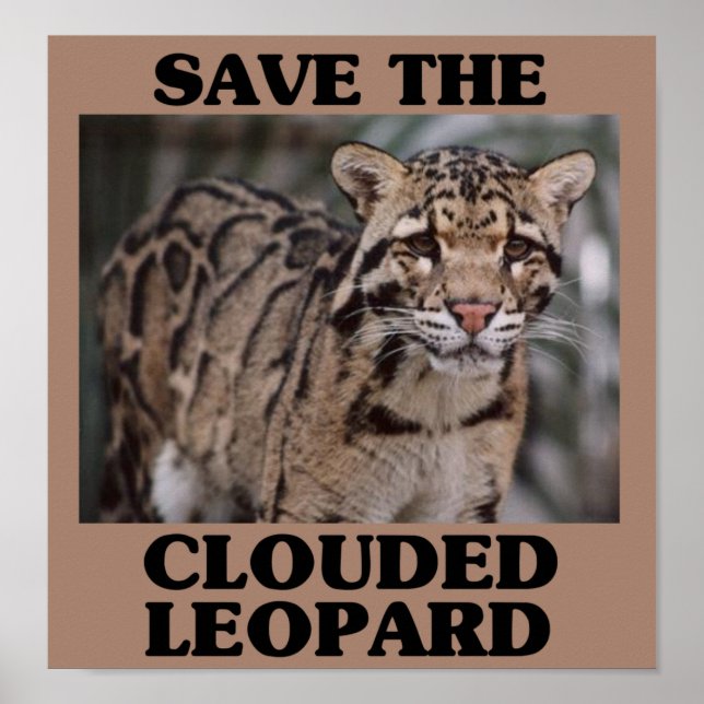 Save the Clouded Leopard Poster (Front)