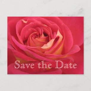 Save the date 100th Birthday Celebration Postcard