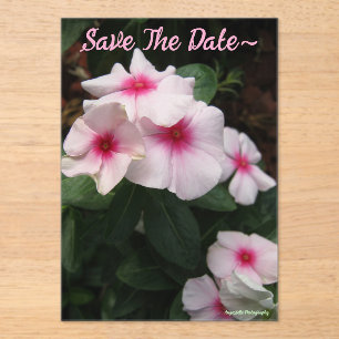 Save The Date 2025/26 Acrylic Invitations