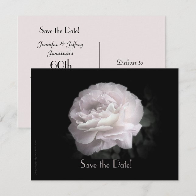 Save the Date 60th Anniversary Party Elegant Rose  Announcement Postcard (Front/Back)