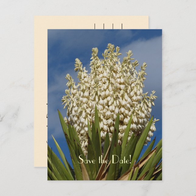 Save the Date 80th Birthday Celebration Postcard (Front/Back)