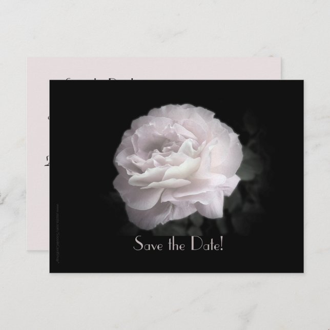 Save the Date 80th Birthday Party Rose Floral Announcement Postcard (Front/Back)